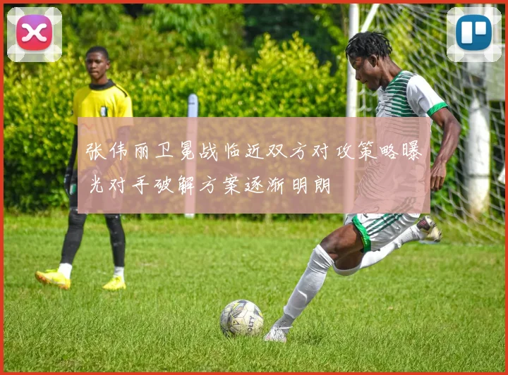 张伟丽卫冕战临近双方对攻策略曝光对手破解方案逐渐明朗